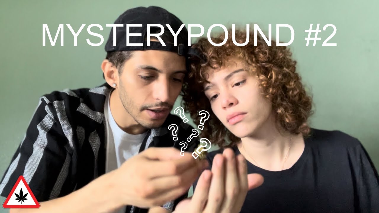 $350 THCA Mystery Pound – Papaya Punch Review (Ep. 2) (THCA Small Buds)