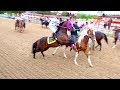 CARRERAS DE CABALLOS/FINAL FUTURITY INVIERNO 2019 300 YARDAS