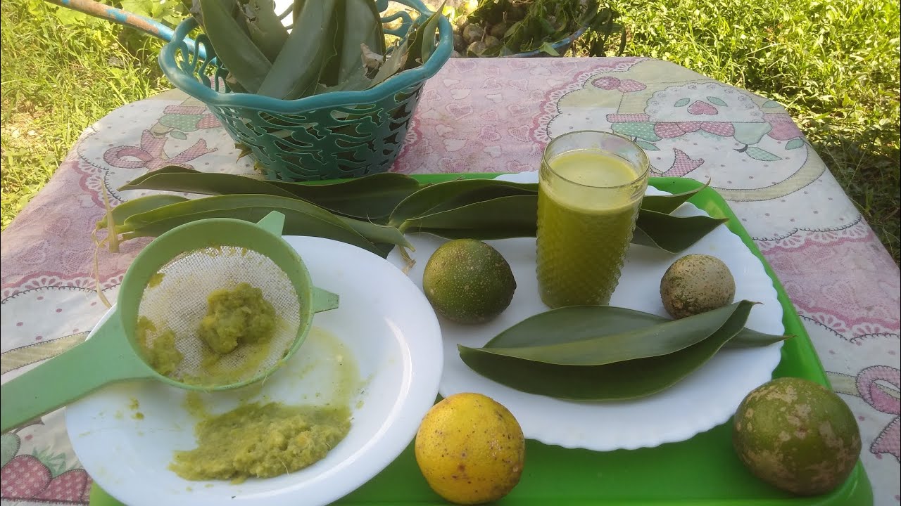 vamos fazer suco da cana do brejo com limão fica tudo de bom