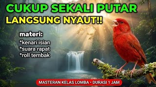 CUKUP PUTAR SEKALI‼️ Masteran Kenari Isian Mewah Durasi 1 Jam