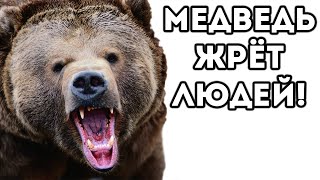 МЕДВЕДЬ ЖРЁТ ЛЮДЕЙ! МЕДВЕДЬ ЖРЁТ ЛЮДЕЙ!