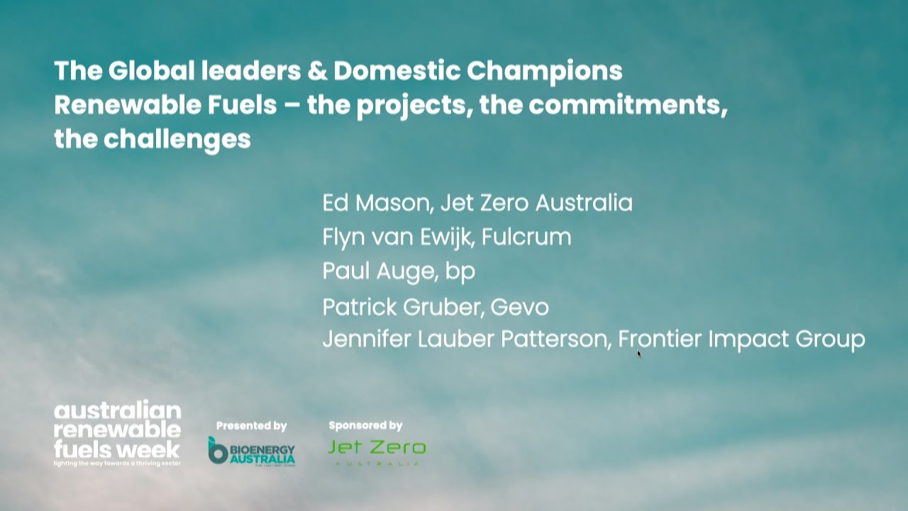 Global leaders & Domestic Champions - the projects, the commitments, the challenges