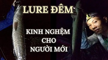 LURE CÁ LÓC BAN ĐÊM P1 | KINH NGHIỆM LURE ĐÊM CHO NGƯỜI MỚI