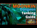 Moonkin dungeon tanking guide  classic wow  druid  pve