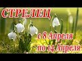 СТРЕЛЕЦ. гороскоп-расклад на 8,9,10,11,12,13,14 Апреля 2019 года. Ленорман\Таро ОНЛАЙН гадание.