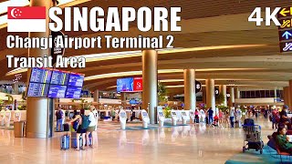 Discover Changi Airport Terminal 2 Transit Area, Singapore 🇸🇬 – Virtual Walk [4K] (▶65 min)