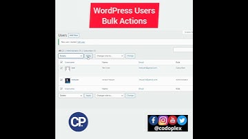 Bulk Actions on WordPress Users - Learn WordPress in Urdu