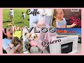 VlogSep#3/ Nuevo Integrante de la Familia / Asi Guardo mi Decor / Yo La Quiero / NadyVlogs