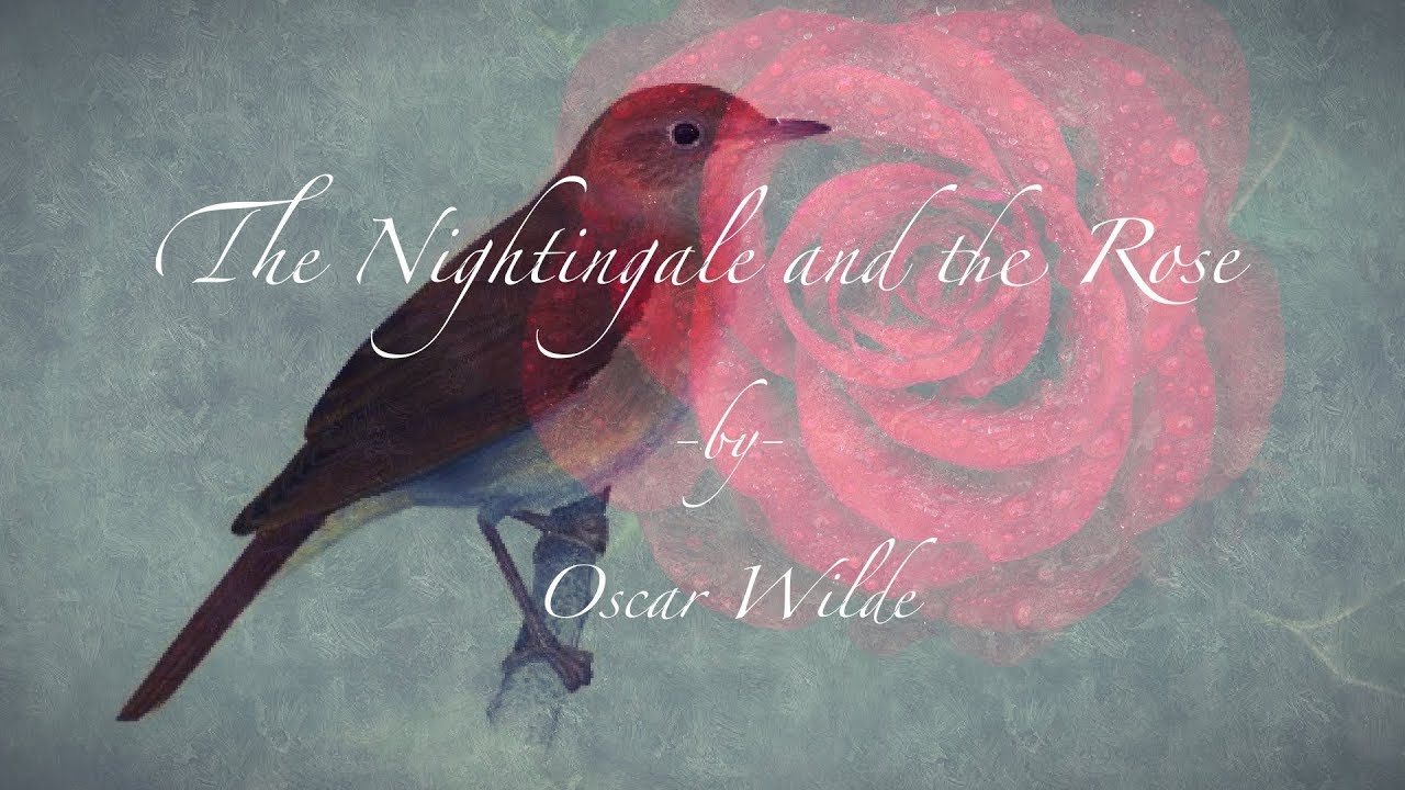 oscar wilde the nightingale and rose