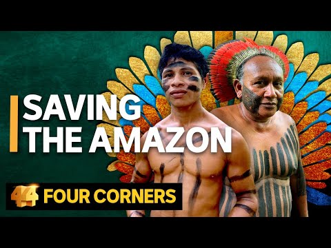 Saving the Amazon: The fight to preserve the world's largest tropical rainforest | Four Corners