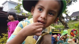 Mainan keong kelomang ditiup keluar sarang