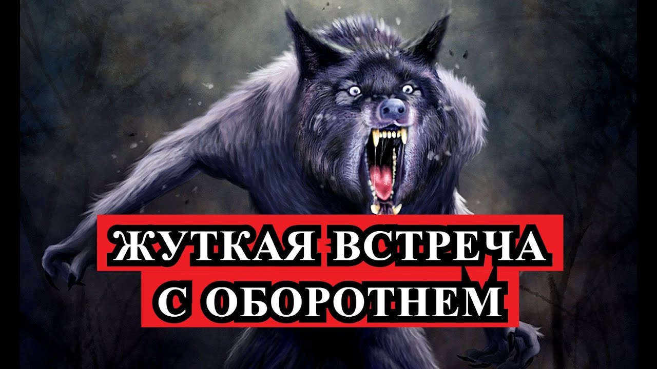 Страшные истории про волгу