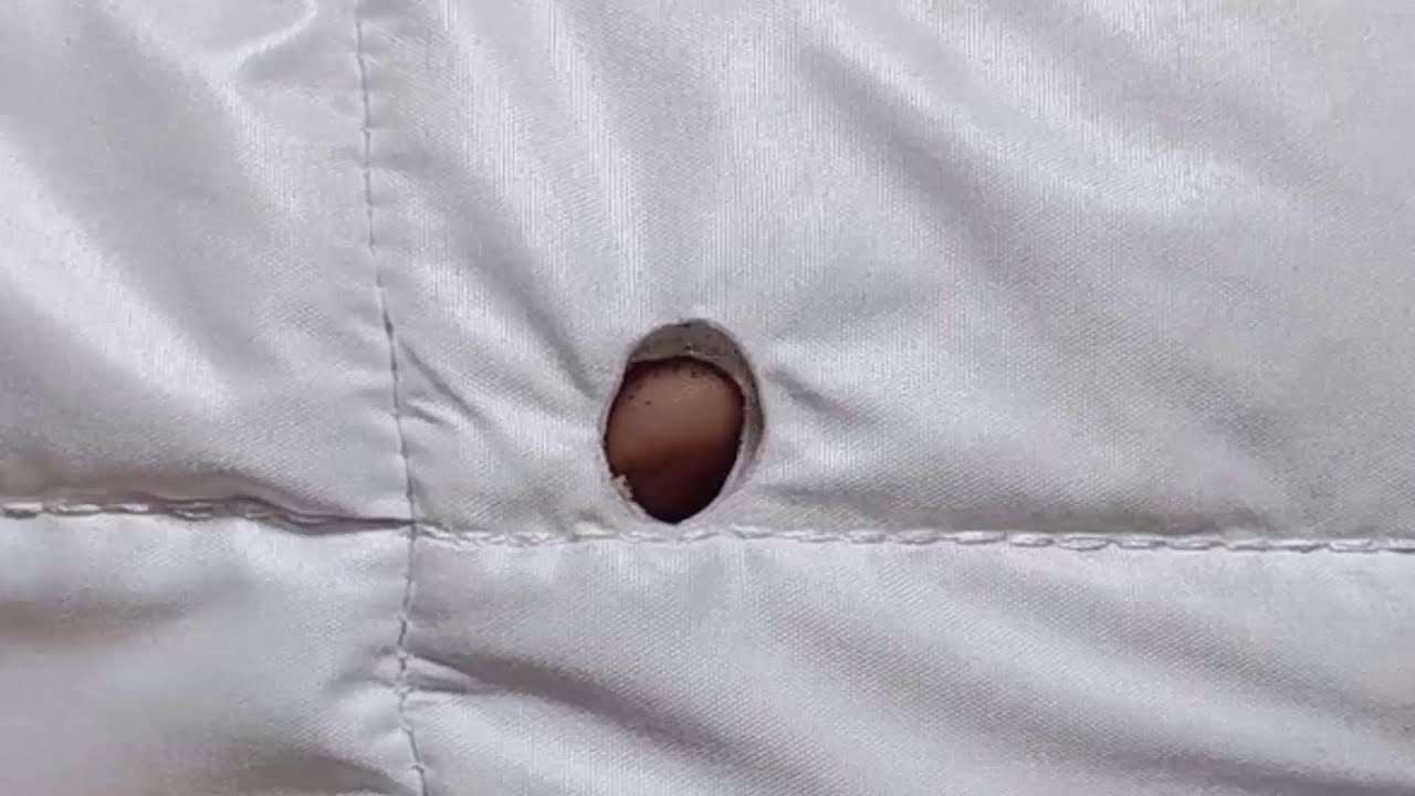 fix a hole in a jacket nicely and elegantly / How to repair a jacket ...