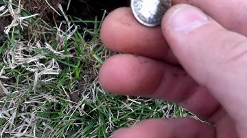 Metal Detecting with Minelab E-TRAC #3 - Silver finds from a short hunt at park and school