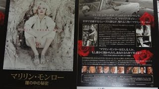 マリリン・モンロー 瞳の中の秘密 (2013) 映画チラシ ジャネットマクティア 検索動画30 マリリン・モンロー 瞳の中の秘密 (2013) 映画チラシ ジャネットマクティア 検索動画 30