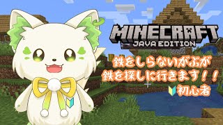 【🔰Minecraft】鉄を取りに行く！！