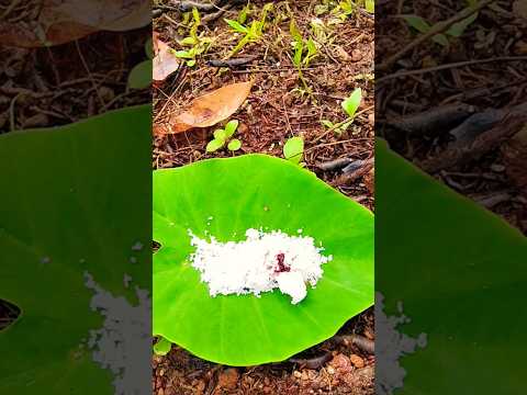 เดเดเดฟเดเตเดเต เดฎเดเตเดเดณเต เดเดเดฟเดเตเดเต #shortvideo #funny #travel #trending #malayalam #comedy #kerala #newreel