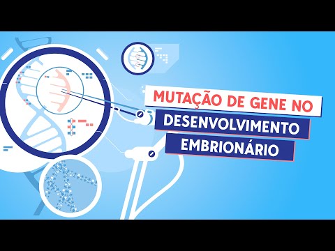 Vídeo: Quais são os genes Hox que podem ocorrer se um gene Hox sofrer mutação?