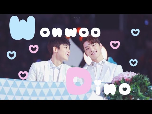 ウォヌとディノの世界 🦊💖🦦 - YouTube