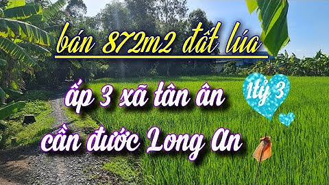 Bán 872m2 đất lúa ấp 3 xã tân ân cần đước Long An. [ khu vực được chuyển thổ cư]