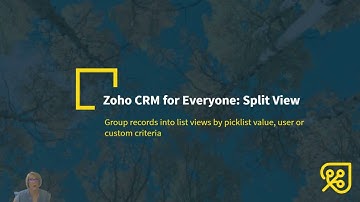 Zoho CRM for Everyone: Split View