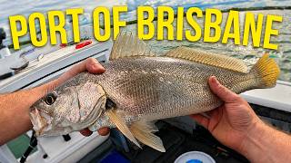 Port of Brisbane Fishing - Trying to catch my first Jew Fish