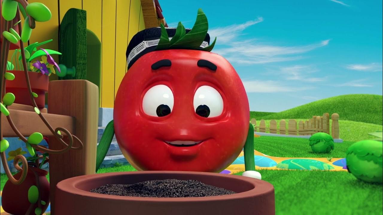 Помидор доппи. Pomidor doppi. Pomidor doppi. Pomidor doppi. Pomidor do'ppi.