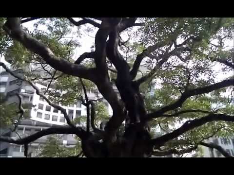正修科技大學校園簡介