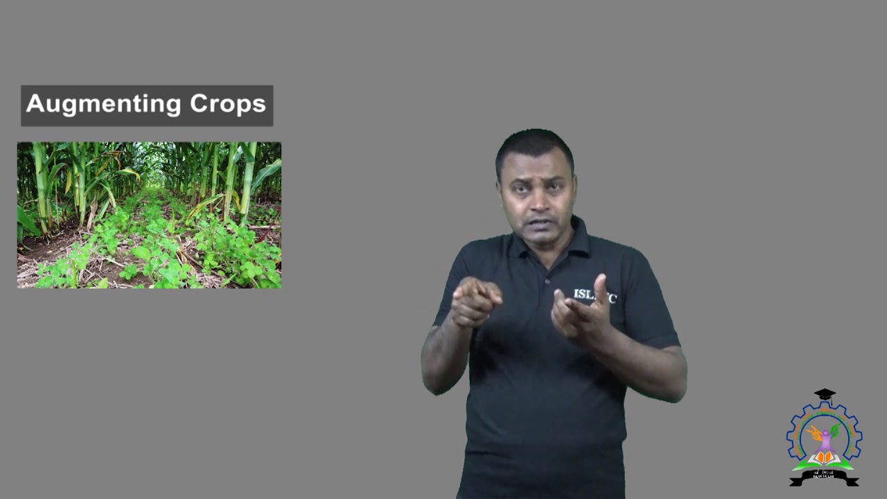 Augmenting Crops - YouTube