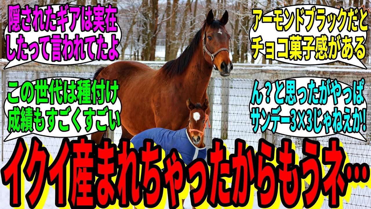 Horse Racing Reactions] Viewers' Reactions to 