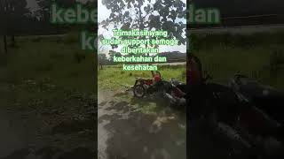 Persawahan #fypシ゚viral #dangdut #shortvideo #trending #lingkungan  #musikhiburan #alam #sawah #music