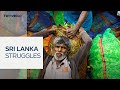 Sri Lanka’s tea industry hit by Middle East war disruptions