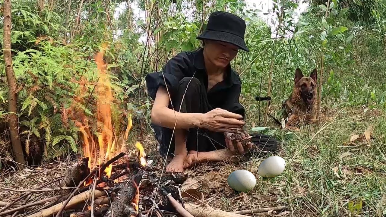 Survival Skills - Cook With Dogs - Cooking And Eat Goose Eggs #CH_005