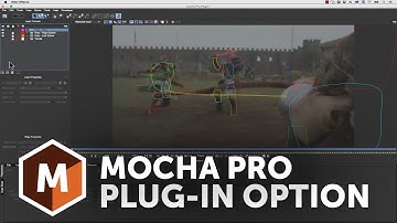 Mocha Pro: Plug-in Option