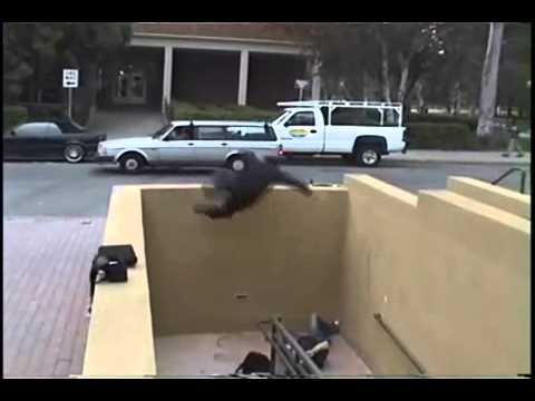 The David Belle Fall - parkour