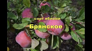 Лучшее время для снятия на хранение