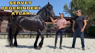 ŞAMPİYON JOKEY VE ŞAMPİYON ATLAR İLE BİR GÜN GEÇİRDİM   EN GENÇ MİLLİ SPORCU NECMİ EREN