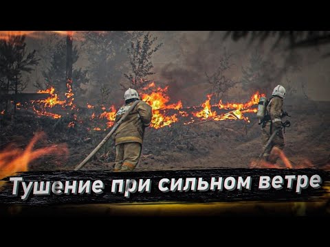 Видео: ПОЖАР В ЛЕСУ / ТУШЕНИЕ ПРИ СИЛЬНОМ ВЕТРЕ / ПЛОТНОЕ ЗАДЫМЛЕНИЕ