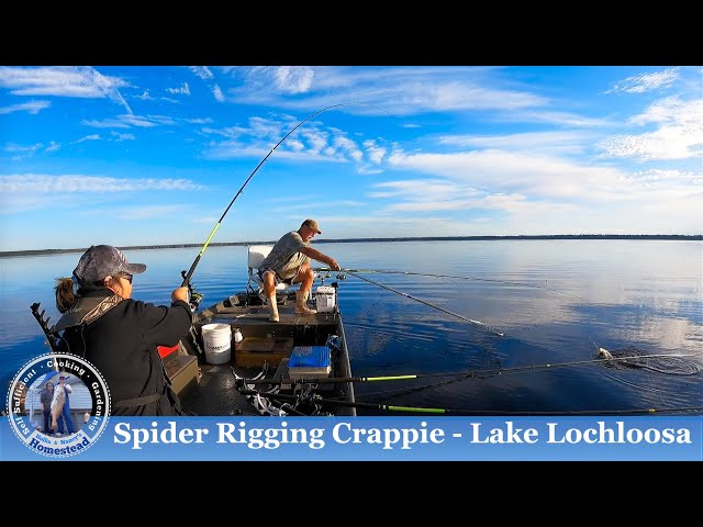 Spider Rigging Crappie Fishing - Lake Lochloosa 