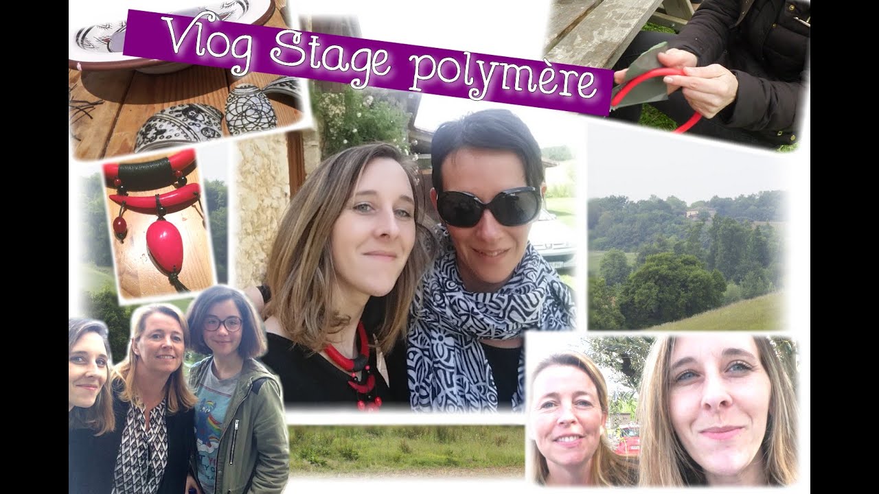 { Vlog } Stage cernit avec Joe Patouille , Klick'art et Akak . stages of mitosis