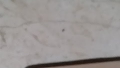 MI 3s Prime Penguin Logo  | Say Solution Without Data Loss