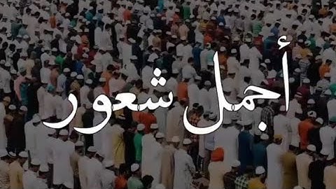 قرآن كريم بصوت عبدالله الموسي ♥🔊 أجمل حالات واتس اب دينية مقاطع دينية قصيرة مقاطع انستقرام دينية