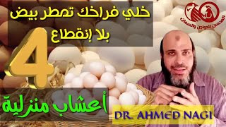 خلى فراخك تمطر بيض بلا إنقطاع 🐓🐔وحجم كبير وطعم خرافي🥚 «4» أعشاب متوفرة فى كل بيت✔️🌾🌿🍀