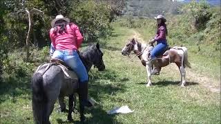 Horse Ride Training