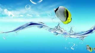 THE PROMISE   THE MARTINS   WITH LYRICS