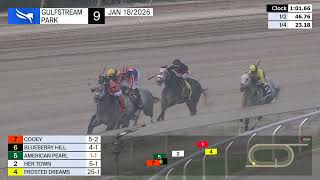 Gulfstream Park January 18, 2026 Race 9