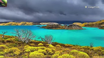 مؤيد المزين مجموعة من التلاوات تعزلك عن الدنيا