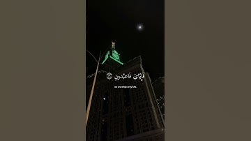 ﴿يَا عِبَادِيَ الَّذِينَ آمَنُوا إِنَّ أَرْضِي وَاسِعَةٌ﴾ سوره العنكبوت، عبدالرحمن_مسعد #ارح_قلبك