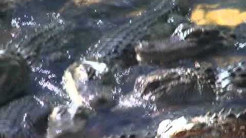 Serious problem with Sony HDR-SR7 warmup shift-lens malfunction