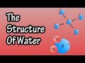 The Unique Properties of Water and Their Biological Significance